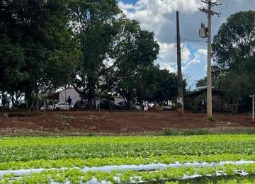 Projeto Hortoterapia